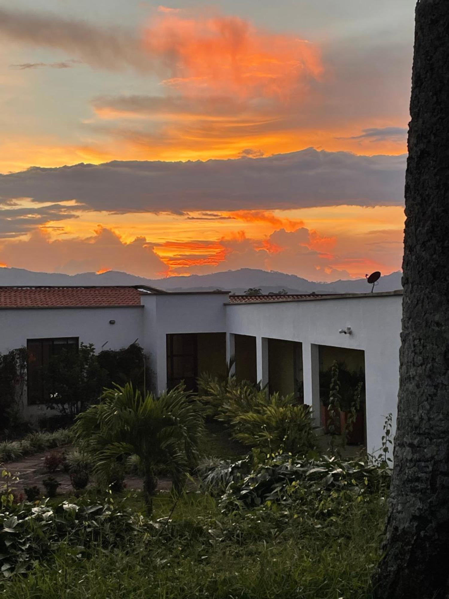 Hotel Boutique La Ceiba Quimbaya Exterior foto